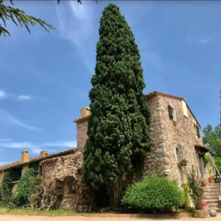 Masia Mimosa *