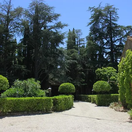 Masia Mimosa *