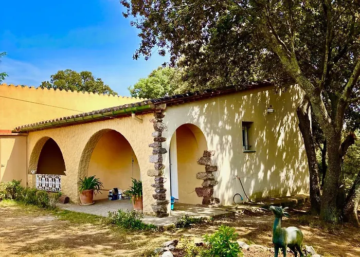 Masia Mimosa Lejlighed