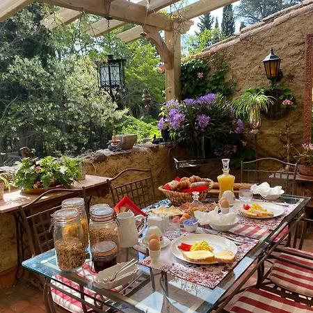 Masia Mimosa Apartment *